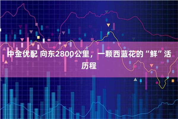 中金优配 向东2800公里，一颗西蓝花的“鲜”活历程